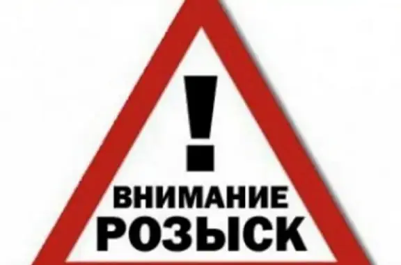 Пропала черная такса в Кемерово, помогите найти!