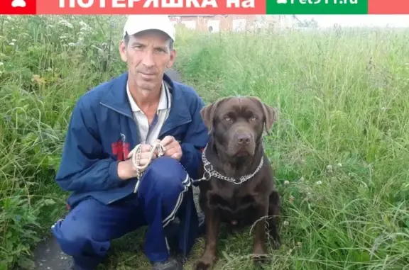 Пропала собака в Белозерске