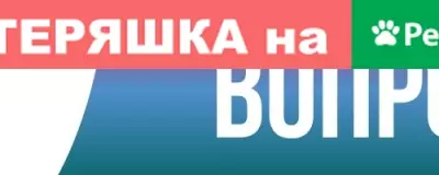 Пропала кошка в районе пожарной части, кличка Тишка.