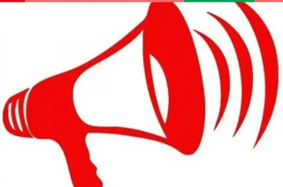 Кошки потеряшки, Тамбов, фото: Потеряшка кот в Тамбове на улице Магистральной