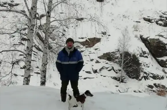 Пропала собака Тоша в Каменск-Уральском