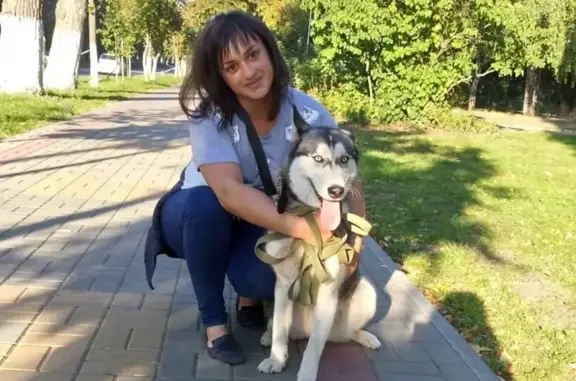 Собаки потеряшки, Липецк, фото: Потеряшка собака в Липецке!