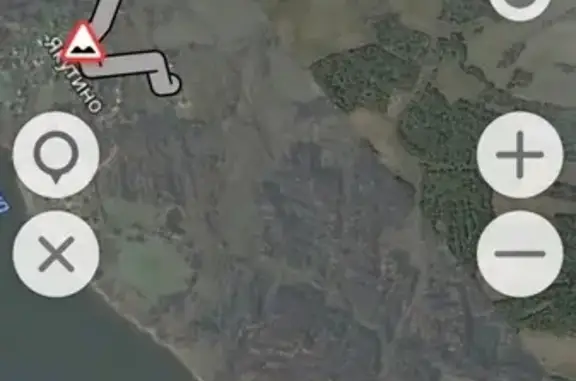 Объявления о пропавших и найденных животных, Головинское, фото: Пропала кошка в Угличском районе, Ярославская область