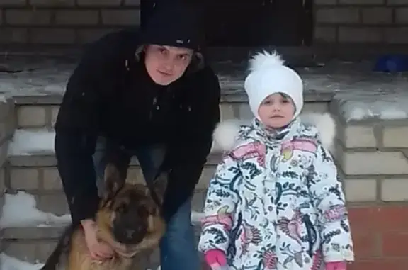 Пропала собака в Губкине, Белгородская область
