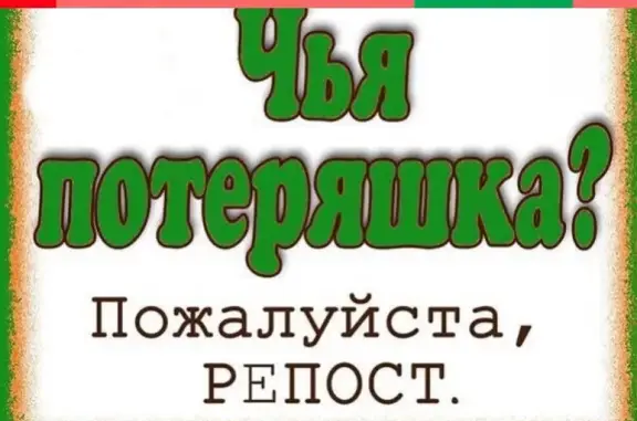 Найден мопс в Стрелецком, Белгород