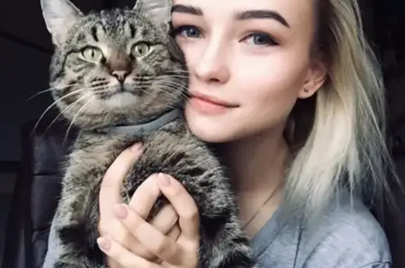 Кошки потеряшки, Киров, фото: Потеряшка кошка Заяц в районе Грин Хауса, Киров