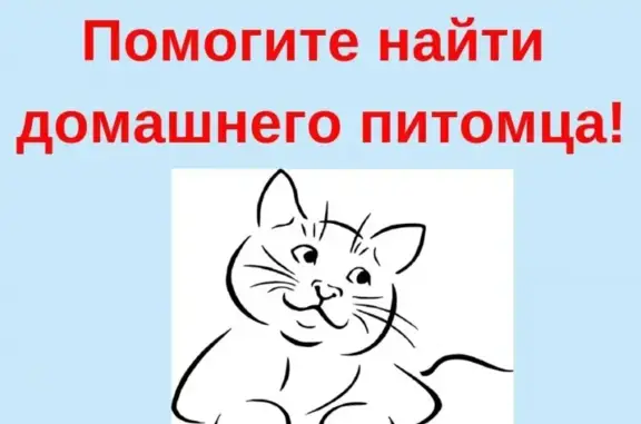 Пропала кошка на пр-т. Шахтеров, 15, помогите найти!