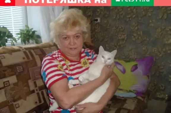 Пропала белая кошка Борис с Пр. Мира 2а в Кувандыке, Оренбургская область