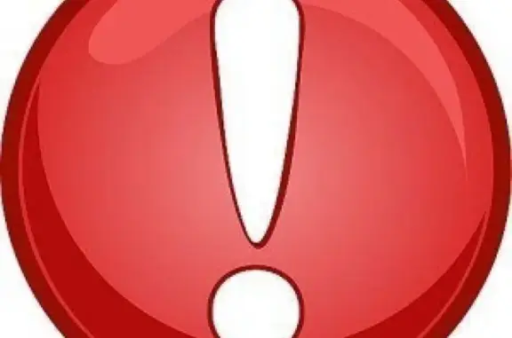 Кошки потеряшки, Шувакиш, фото: Потеряшка черно-белая кошка в п. Шувакиш, Екатеринбург