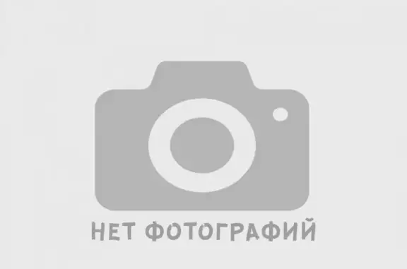 Кошки потеряшки, Москва, фото: Потеряшка кот на ул. Удальцова, Москва