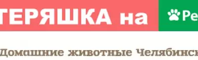 Пропала собака на улице Гончаренко, Челябинск