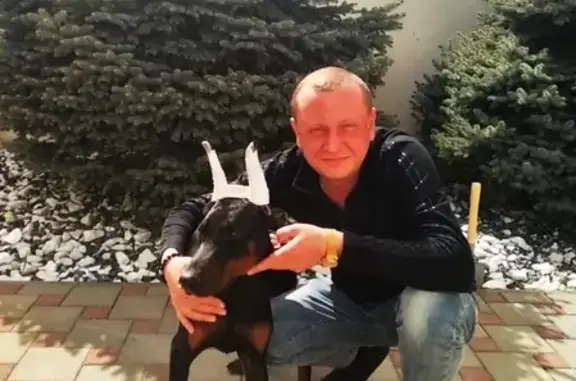 Пропала собака Барселона в Краснодаре, вознаграждение гарантировано (41 символ)
