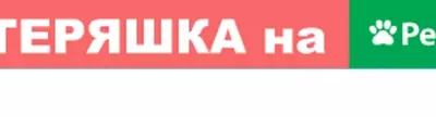 Пропала немецкая овчарка Рэй в южном районе Чебоксар