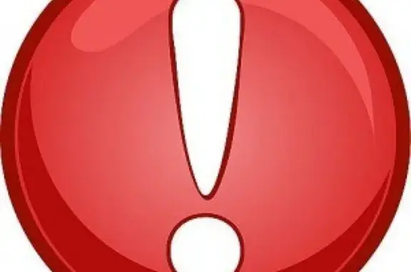 Собаки потеряшки, Исетское, фото: Потеряшка хаски Берта в с. Исетское, Свердл. обл.