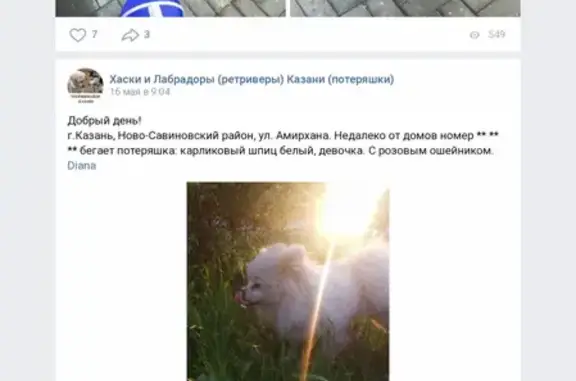 Пропала собака ДЕЛФИ на улице Лаврентьева, Казань.