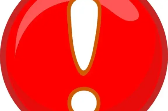 Собаки потеряшки, СНТ Вагонник, фото: Потеряшка немецкая овчарка в СНТ Вагонник, Екатеринбург