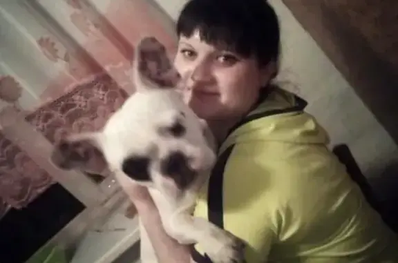 Пропала собака в Мариинске на ул. Строительная 2-1