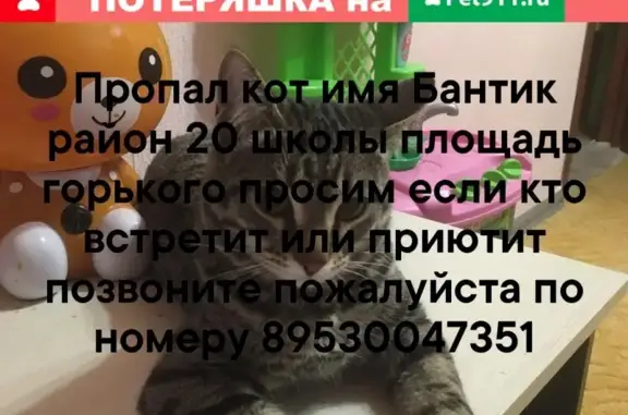 Пропал кот Бантик в Каменске-Уральском, район 20 школы, площадь Горького. Помогите!