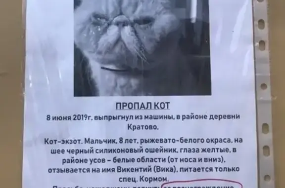 Пропал кот в д. Кратово, Раменское-Жуковский, МО