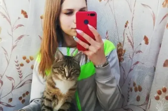 Пропал кот в Свердловском районе, остановка Затон