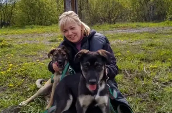 Собаки потеряшки, Новокузнецк, фото: Потеряшка собака Альма в районе Левого берега, Новокузнецк