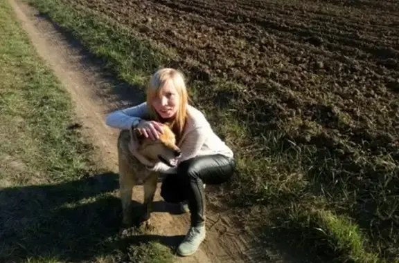 Пропала собака в Семеновском-Красном, Суздальский район