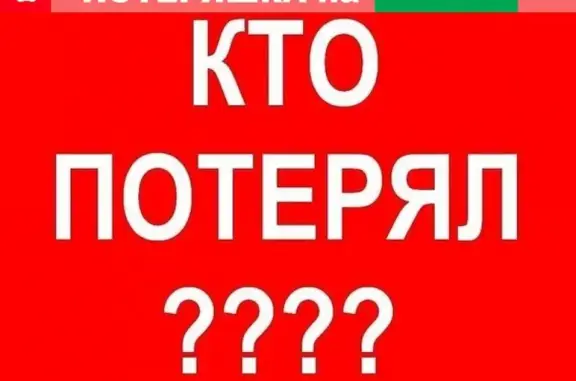 Собака Потеряшка найдена в Таманском лесу, район холодных родников. Ставрополь.