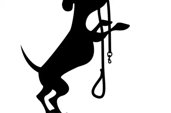 Найдена собака, Москва, фото: Найдена собака в районе Аннино, Москва