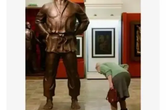 Кошки потеряшки, Москва, фото: Потеряшка кот Барсик на Таллинской - ВОЗНАГРАЖДЕНИЕ!