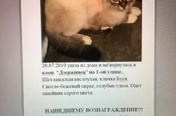 Пропала кошка в садовом товариществе Дзержинец