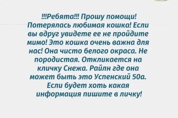 Пропала белая кошка на Успенском проспекте 50а в Верхней Пышме