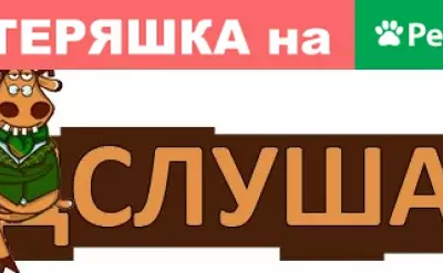 Пропала собака в Солнечном, Белгородская область