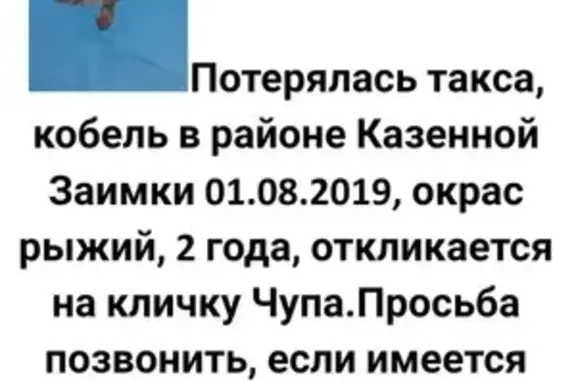 Пропала такса в Барнауле, вознаграждение