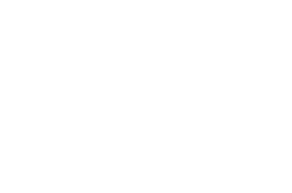 Потерянные животные Владивосток, фото: Пропала кошка во Владивостоке