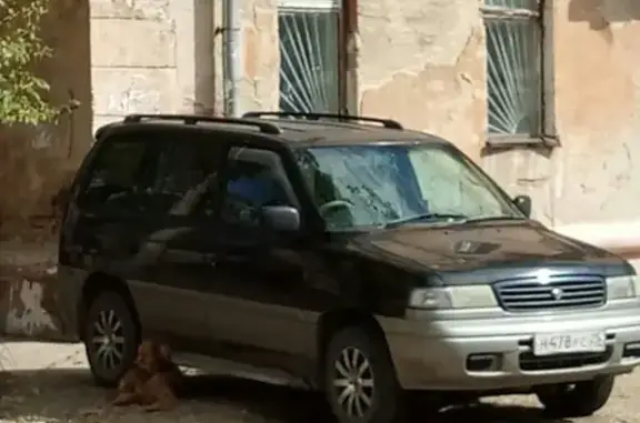 Потерянный пёс в Комсомольске-на-Амуре