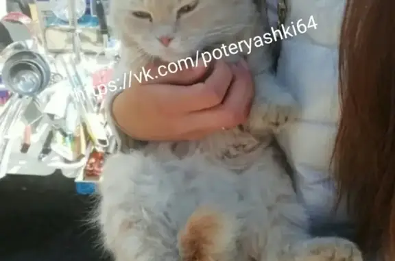 Найдена кошка в Энгельсе на Колхозном рынке