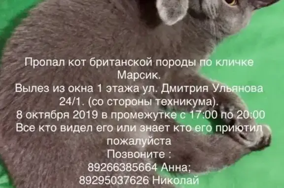 Кошки потеряшки, Москва, фото: Потеряшка кот на улице Дмитрия Ульянова 24/1