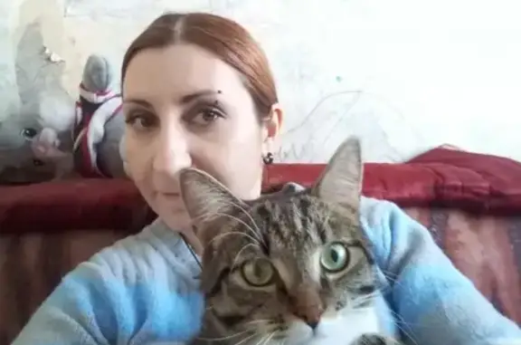 Кошки потеряшки, Новосибирск, фото: Потеряшка кот Макс на ул. Дуси Ковальчук, 91 (Заельцовский район)