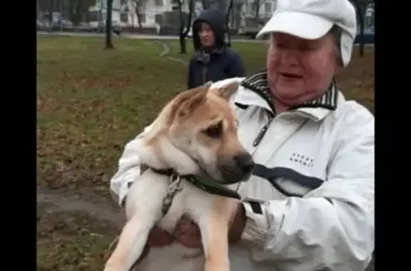 Найдена собака около метро Выхино