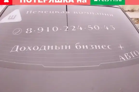 Пропал Ягд терьер Рой в лесу возле Тернового, Старооскольский район.