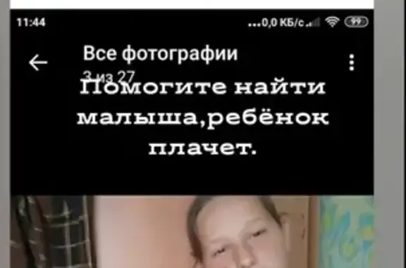 Собаки потеряшки, Калининград, фото: Потеряшка собака Баксик в поселке Славянское, Гурьевский район