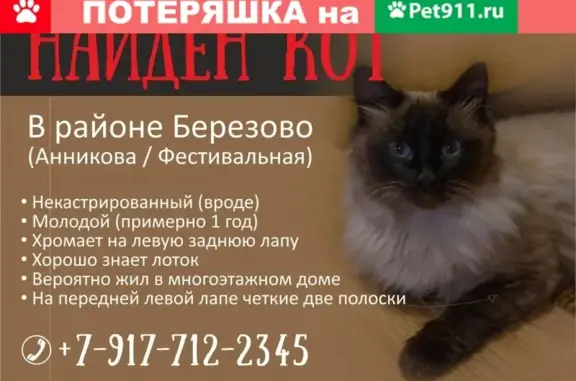 Найдена кошка на ул. Анникова, Йошкар-Ола