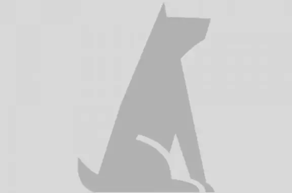 Потерянные животные Якутск, фото: Пропала немецкая овчарка в Якутске