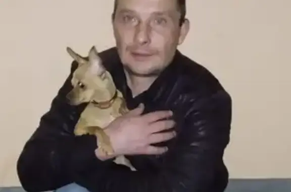Пропала собака Леди в поселении Знамя Октября, Москва