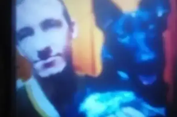 Потерянные животные Чита, фото: Пропала собака на Центральном кладбище в Чите