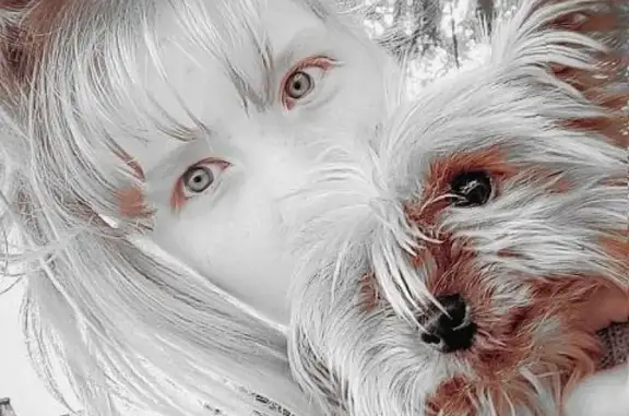 Собаки потеряшки, Рязань, фото: Потеряшка собака Микки в пос. Искра, Рязанская обл.