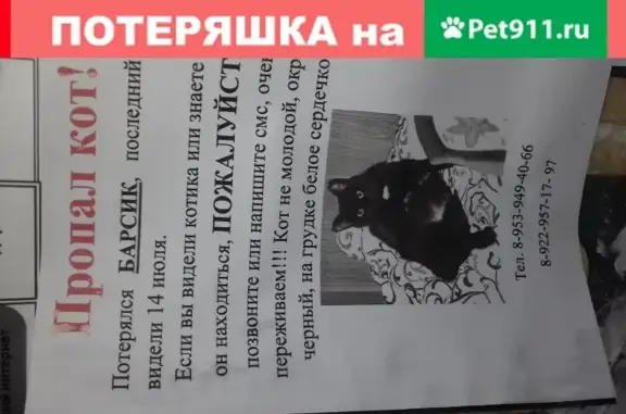 Пропал кот Барсик-Мусик на пр. Строителей, Киров