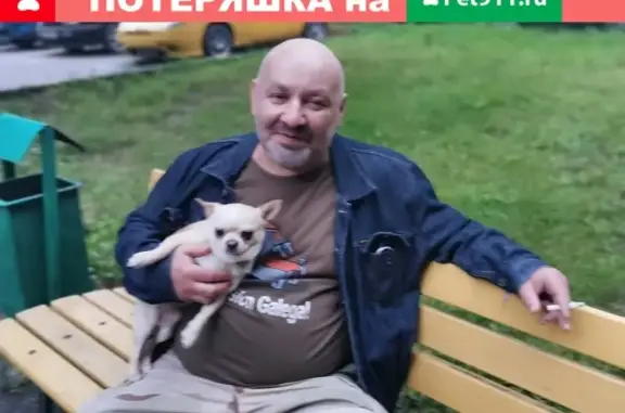 Пропала собака в парке на Свободном проспекте (Москва)