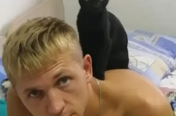 Кошки потеряшки, Ярославль, фото: Потеряшка чёрная кошка с проспекта Фрунзе в Ярославле