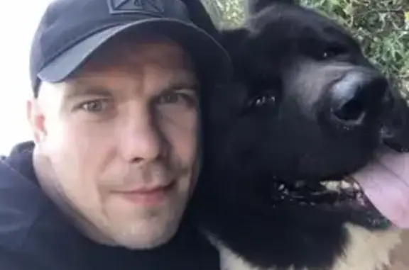 Потерянные животные Калининград, фото: Пропала собака Роки в Калининграде